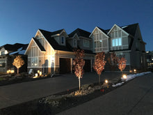 Load image into Gallery viewer, Lelevelle Accent light (2 Finishes)